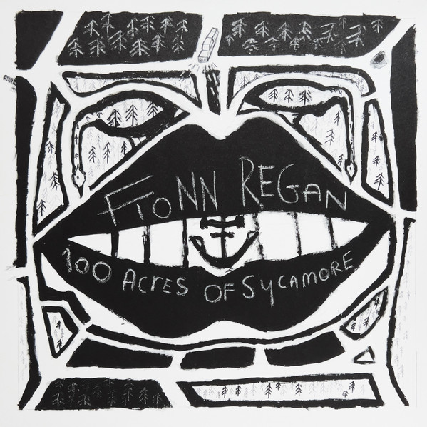 Fionn Regan - 100 Acres Of Sycamore | Heavenly (HVNLP88X)