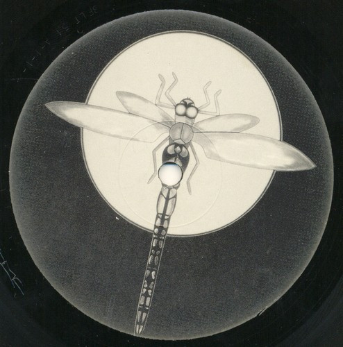 Darshan - Digital Damage / Freaky Frequency | Dragonfly Records (BFLT 51) - 2