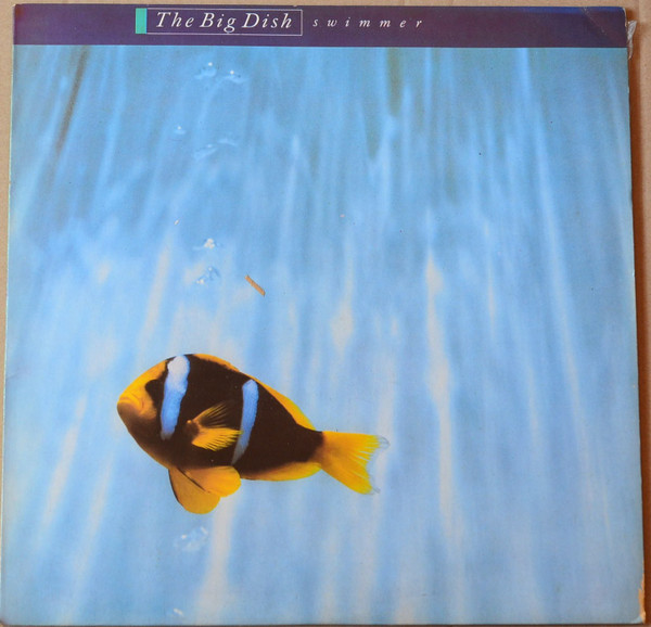 The Big Dish - Swimmer | Virgin (605431) - main