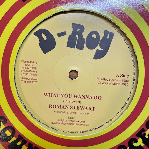 Roman Stewart / The Revolutionaries - What You Wanna Do / Rockers Delight | D-Roy Records (none) - main Roman Stewart / The Revolutionaries - What You Wanna Do / Rockers Delight | D-Roy Records (none) - main