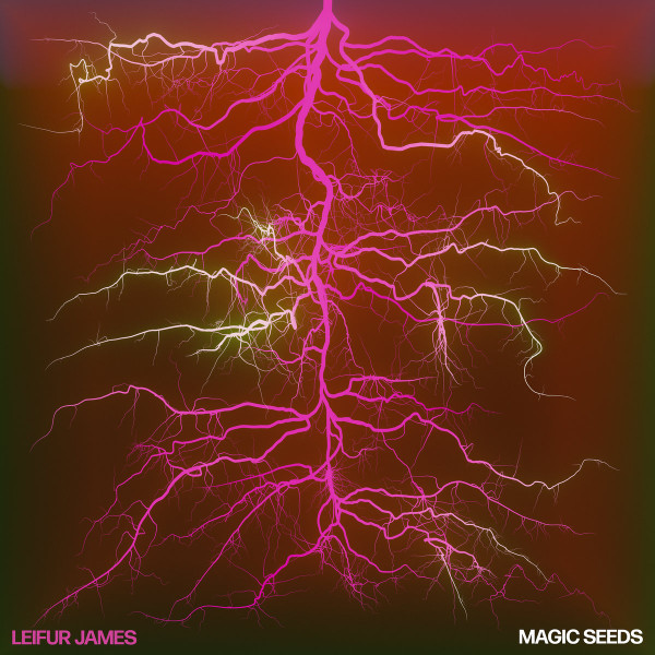 Leifur James - Magic Seeds | Night Time Stories (ALNLP73W)