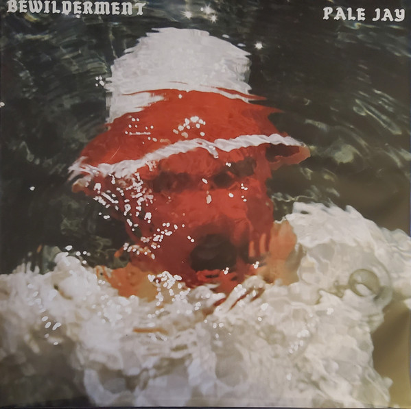 Pale Jay - Bewilderment | Karma Chief Records (KCR 12026)