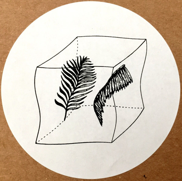 William Earl - Young In The Tropic | Let's Go Swimming (LGS003) - 2 William Earl - Young In The Tropic | Let's Go Swimming (LGS003) - 2