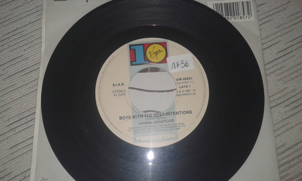 Animal Nightlife - Boys With The Best Intentions | 10 Records (VIN 45251) - 3
