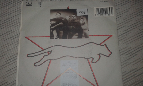 Animal Nightlife - Boys With The Best Intentions | 10 Records (VIN 45251) - 2
