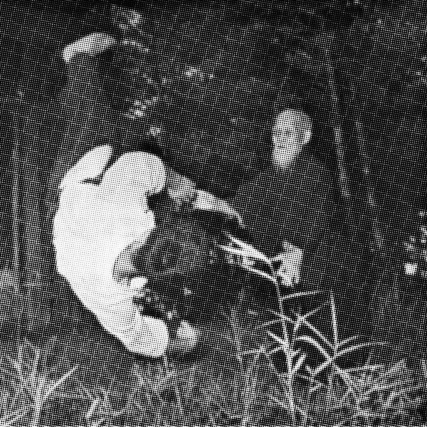 Phooka - Throwing Techniques | Love Blast (LB11) - 2