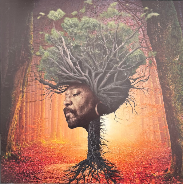 Osunlade - Inner Garden | Yoruba Records (YSD146) - main Osunlade - Inner Garden | Yoruba Records (YSD146) - main