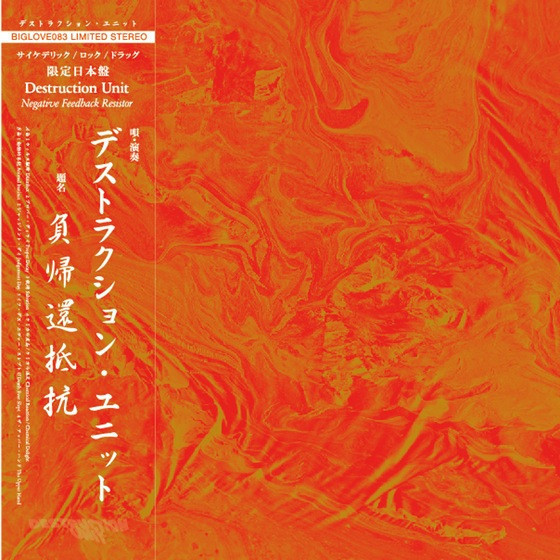 Destruction Unit - Negative Feedback Resistor | BIG LOVE RECORDS (BIGLOVE083) - main Destruction Unit - Negative Feedback Resistor | BIG LOVE RECORDS (BIGLOVE083) - main