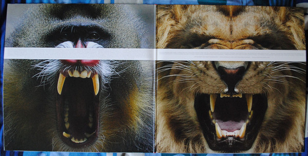 30 Seconds To Mars - This Is War | Immortal Records (509993 09433 1 5) - 4 30 Seconds To Mars - This Is War | Immortal Records (509993 09433 1 5) - 4