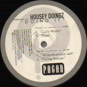 Housey Doingz - Doing It | Pagan (PAGAN 009)
