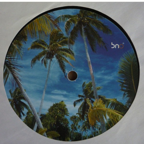 Roland Louis - Caribbean Disco Re-Edit | Basenotic Records (BA019) - 3