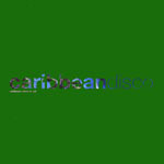 Roland Louis - Caribbean Disco Re-Edit | Basenotic Records (BA019) - main