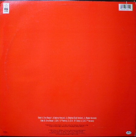 Junior Reid - One Blood | Big Life (877 355-1) - 2