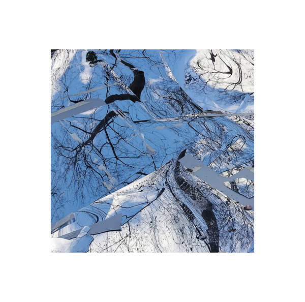 FLORE - Legacy & Broken Pieces | POLAAR (POLAAR022) - main