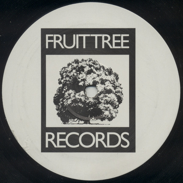 Vibe Alive - The Spirit In Me | Fruittree Records (12 FTREE 3) - 2