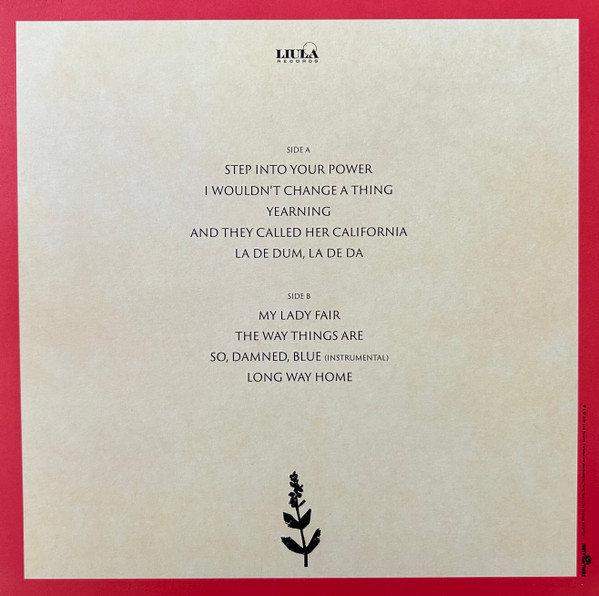 Ray Lamontagne - Long Way Home | Liula Records (LR003 04137TLP) - 2 Ray Lamontagne - Long Way Home | Liula Records (LR003 04137TLP) - 2