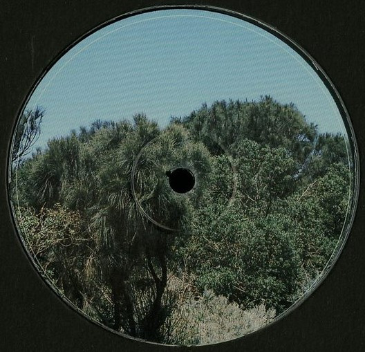 Rings Around Saturn - Erosion | Analogue Attic (AAR002) - 2 Rings Around Saturn - Erosion | Analogue Attic (AAR002) - 2