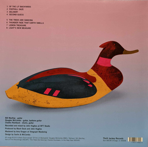 Black Duck - Black Duck | Thrill Jockey (THRILL 582) - 2 Black Duck - Black Duck | Thrill Jockey (THRILL 582) - 2