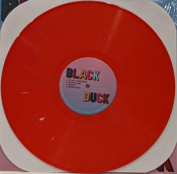 Black Duck - Black Duck | Thrill Jockey (THRILL 582) - 3 Black Duck - Black Duck | Thrill Jockey (THRILL 582) - 3