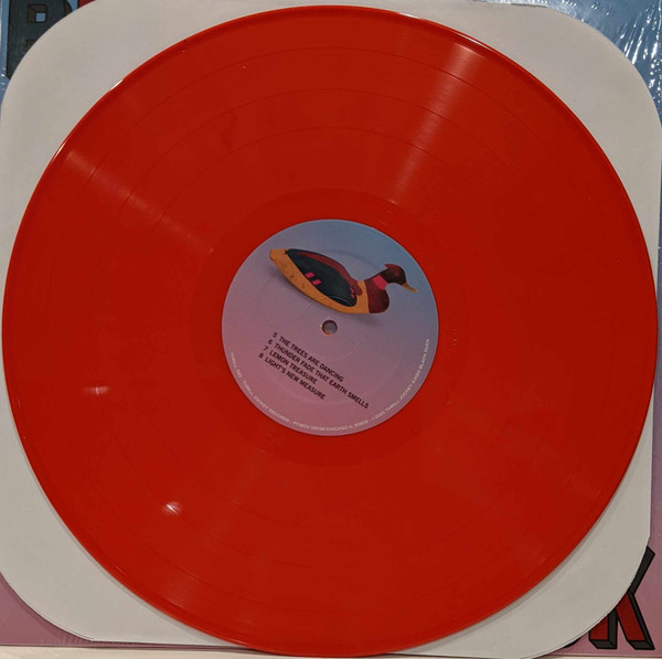 Black Duck - Black Duck | Thrill Jockey (THRILL 582) - 4 Black Duck - Black Duck | Thrill Jockey (THRILL 582) - 4