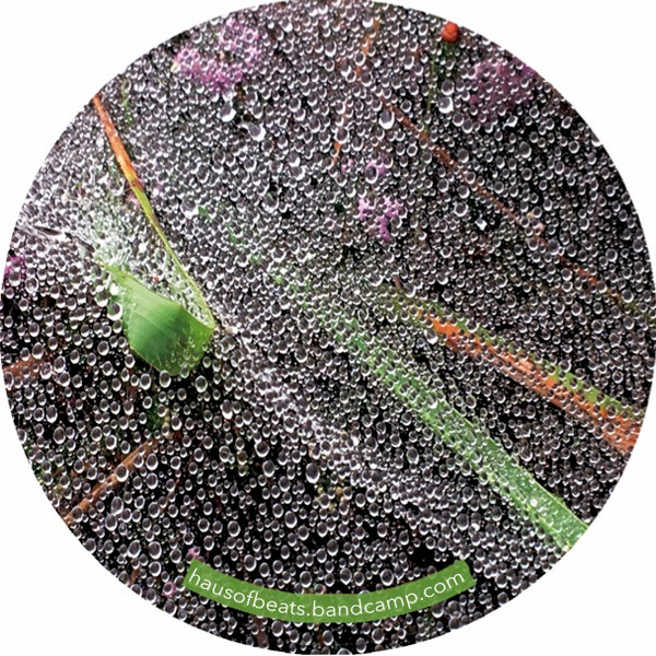 Parasitic Fungi