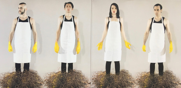 Heirs - Fowl | Denovali Records (DEN69) - 2