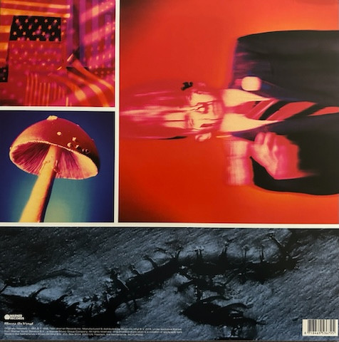 Ministry - Filth Pig | Music On Vinyl (MOVLP1202) - 2