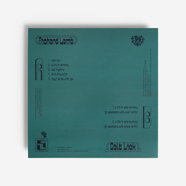 Richard Lamb - Salt Lick | Souvenirs From Imaginary Cities (SFIC-003) - 2