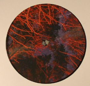 Bessiekat - Oh Night Wish | First Second Label (FSL 001) - main