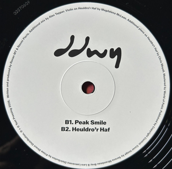 ddwy - Beaming Backwards | Test Pressing Recordings (TPR007) - 3