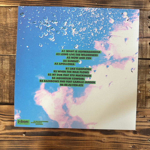The Babe Rainbow - Slipper Imp and Shakaerator | p(doom) records (198704274770) - 3