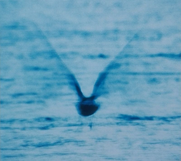 Ryo Fukui - Mellow Dream | We Release Jazz (WRJ002CD) - 2