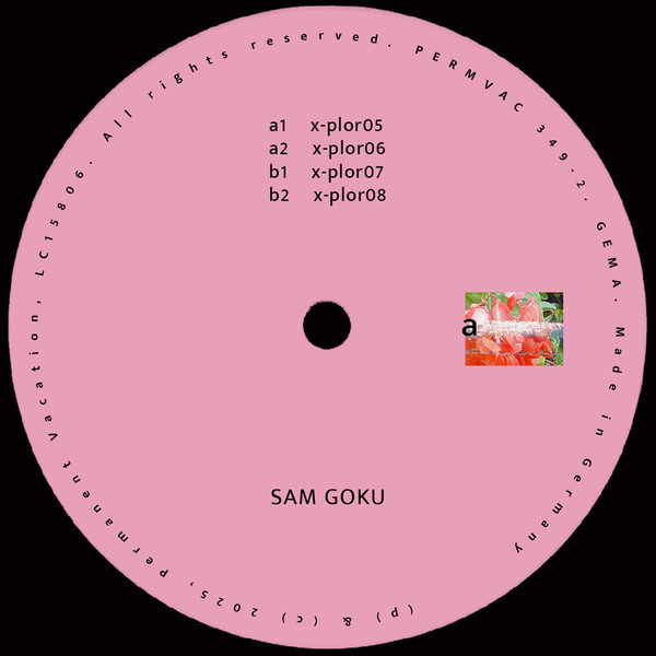Sam Goku - Explorations 02 | Permanent Vacation (PERMVAC 349-2) - main Sam Goku - Explorations 02 | Permanent Vacation (PERMVAC 349-2) - main