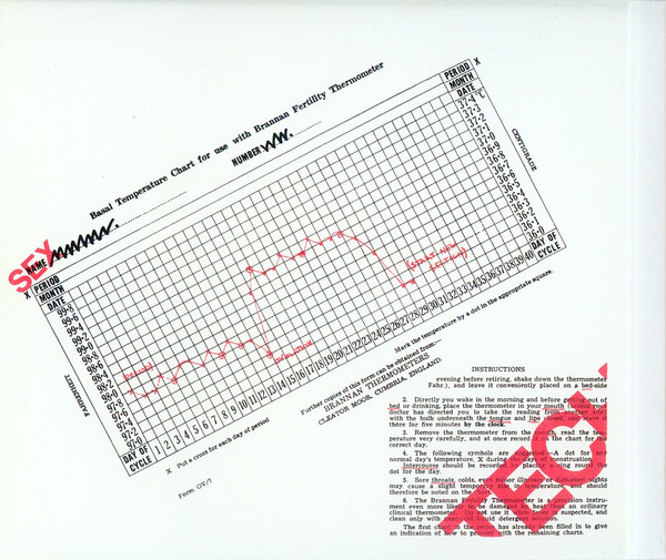 Au Pairs - Playing With A Different Sex | BMG (BMGRM0118CD) - 2 Au Pairs - Playing With A Different Sex | BMG (BMGRM0118CD) - 2