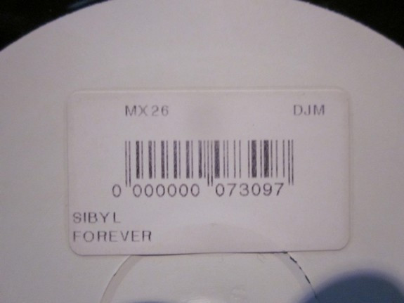 Sybil - Forever | Not On Label (SYM-001) - 2 Sybil - Forever | Not On Label (SYM-001) - 2