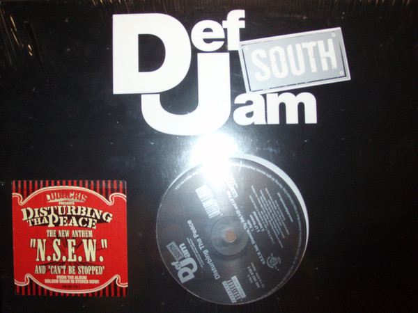 Disturbing Tha Peace - N.S.E.W. / Can't Be Stopped (I Know) | Def Jam South (DEFR 15732-1) - 4 Disturbing Tha Peace - N.S.E.W. / Can't Be Stopped (I Know) | Def Jam South (DEFR 15732-1) - 4