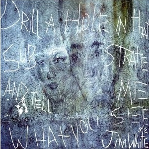 Jim White - Drill A Hole In That Substrate And Tell Me What You See | Luaka Bop (VVR1026938)