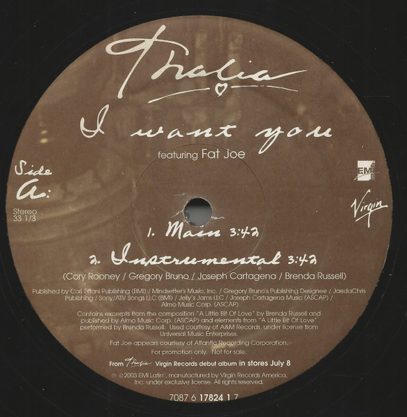 Thalía Featuring Fat Joe - I Want You (12") [Vinyl] | Virgin Records America, Inc. (7087 6 17824 1 7)