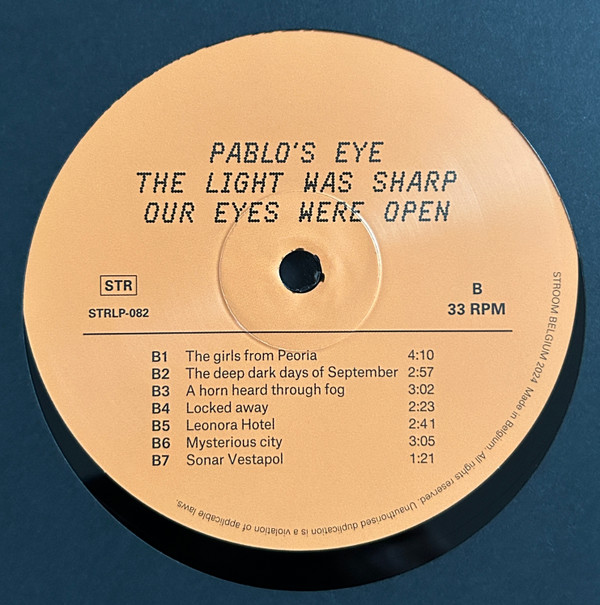 Pablo's Eye - The Light Was Sharp, Our Eyes Were Closed | Stroom (STRLP-082) - 3 Pablo's Eye - The Light Was Sharp, Our Eyes Were Closed | Stroom (STRLP-082) - 3