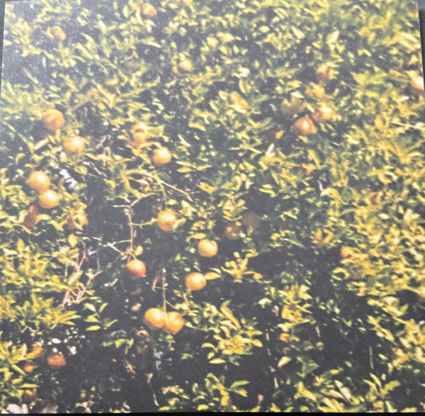 Drop Nineteens - Delaware | Wharf Cat Records (284362E2/A) - 4