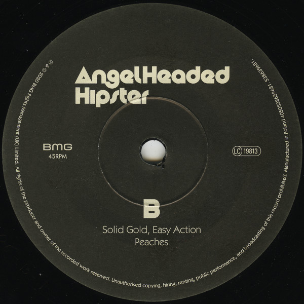 Nick Cave / Peaches - AngelHeaded Hipster (The Songs Of Marc Bolan & T. Rex) | BMG (538639681) - 4