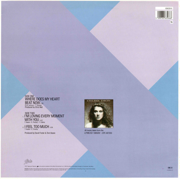 Céline Dion - Where Does My Heart Beat Now | Epic (656326 6) - 2