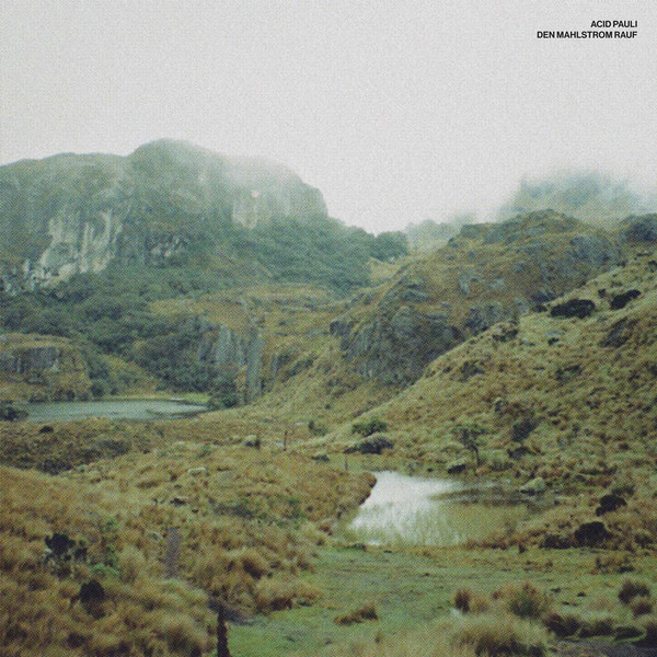 Acid Pauli - Den Mahlstrom Rauf | All Is Acid (AIA001) - main