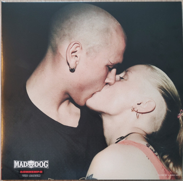 DJ Mad Dog - Downtempo The Album | Dogfight Records (DOGVL001) - main