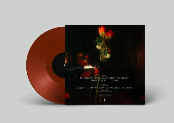 Skelesys - Fading Echoes LP: Ltd. Edition (Brick red vinyl) | Pinkman (PINKMN58) - 3
