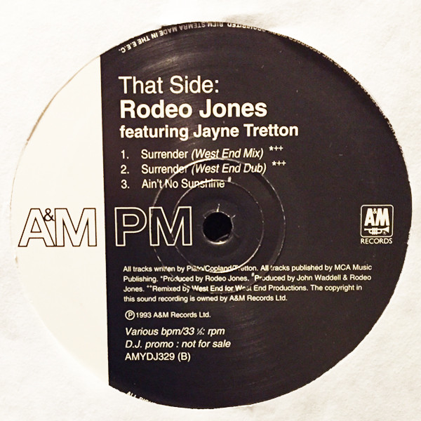 Rodeo Jones Featuring Jayne Tretton - Get Wise | A&M PM (AMYDJ329) - 3 Rodeo Jones Featuring Jayne Tretton - Get Wise | A&M PM (AMYDJ329) - 3