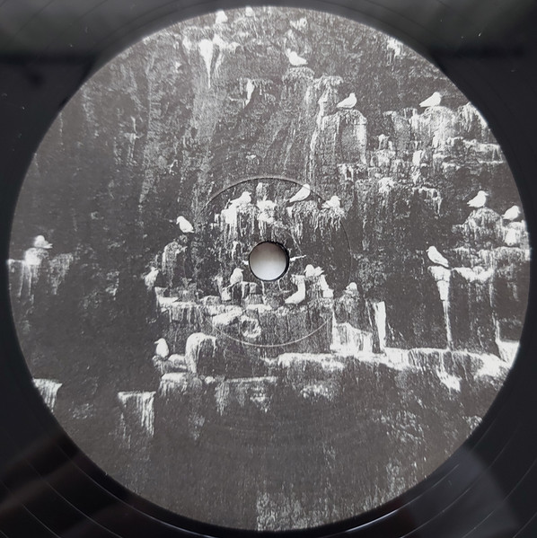 Desert Sound Colony - Cracks In My Soul | Scissor and Thread (SAT21) - 3 Desert Sound Colony - Cracks In My Soul | Scissor and Thread (SAT21) - 3