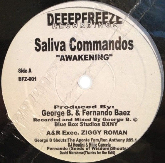 The Saliva Commandos - Awakening | Deeep Freeze (DFZ-001) - main