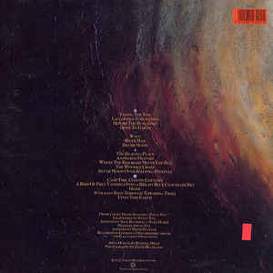David Sylvian - Gone To Earth | Virgin (VDLI) - 4 David Sylvian - Gone To Earth | Virgin (VDLI) - 4