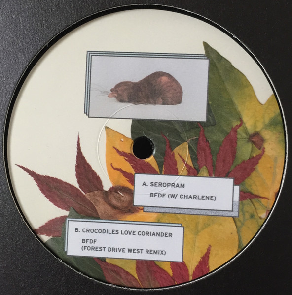 Elise - Leaves From Yoyogi | Man Band rec. (MNBN03)